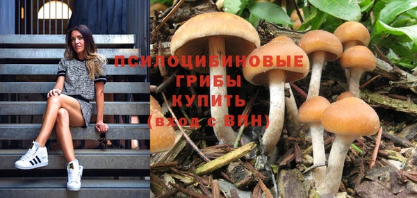 ПСИЛОЦИБИНОВЫЕ ГРИБЫ Нязепетровск
