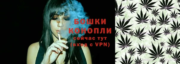 ПСИЛОЦИБИНОВЫЕ ГРИБЫ Нязепетровск