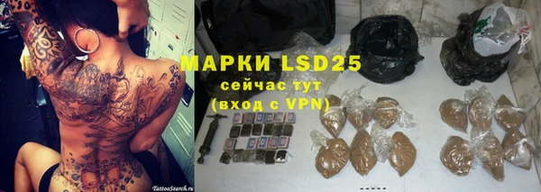 дурь Осташков