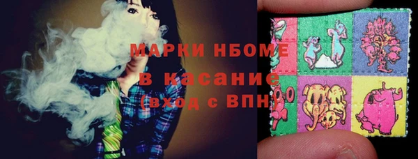 дурь Осташков